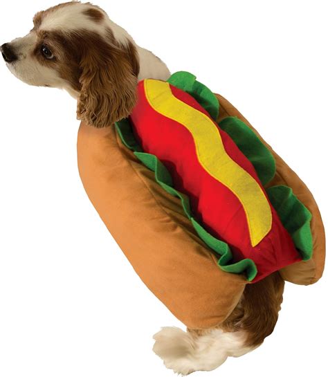 Important Question What Costumes Should Albie Dog Wear For Halloween