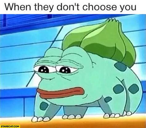 Image When They Dont Choose You Pokemon Sad Frog Meme Animal