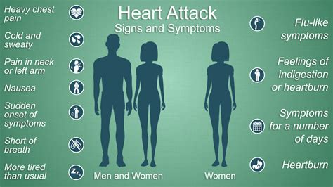 Coronary Artery Disease Heart Disease St Vincent S Heart Health