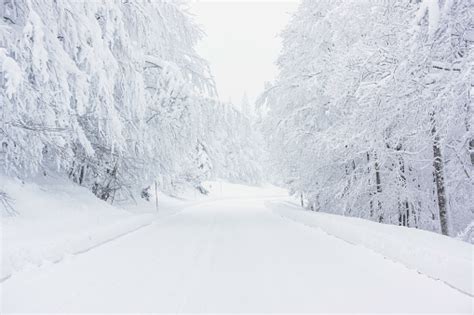Snowy Road Stock Photo Download Image Now Istock