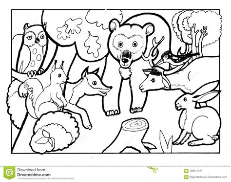 Forest Animals Coloring Bookcoloring Book Page Black