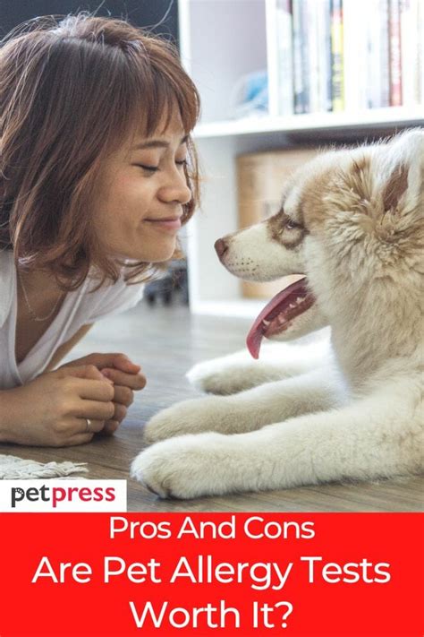 Are Pet Allergy Tests Worth It Exploring The Pros And Cons
