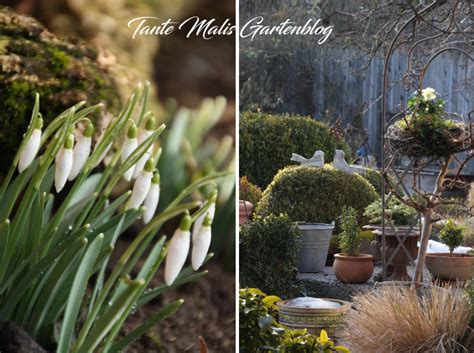 Obstbaumschnitt, frostschutz, erste aussaaten, pflanzzeit im gewächshaus und mehr. Der Februar im Garten