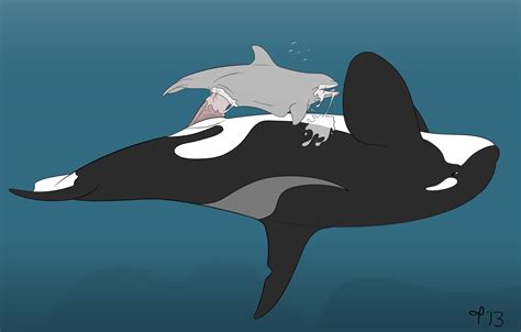 Rule 34 Cetacean Cum Cum In Pussy Cum Inside Dolphin Female Feral Feral On Feral Male Marine