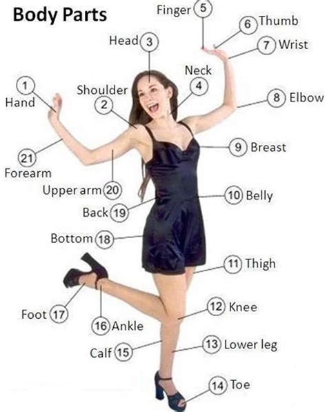 Body Parts Of Woman Name With Picture Human Body Parts Names In
