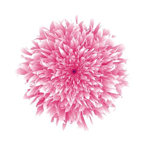 Premium Vector Pink Floral Blend Vector Design Realistic Flower
