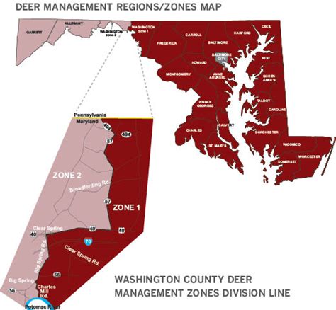 Firearm Deer Hunting Season To Open In Maryland