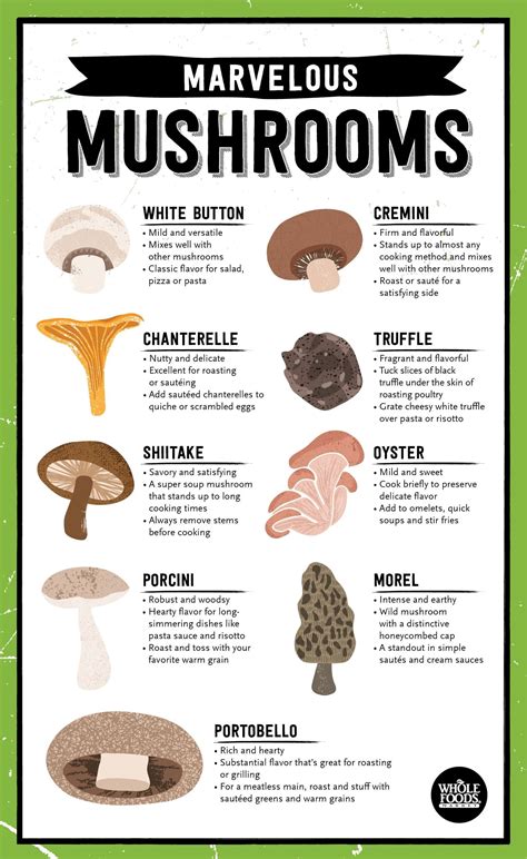 Different Mushrooms And How To Cook Them