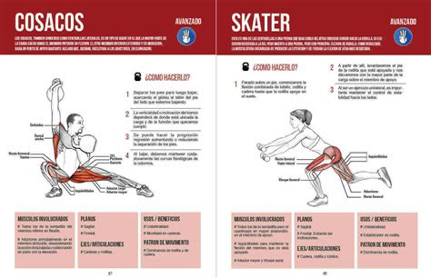Manual De Fuerza Anatomia Y Entrenamiento 2 Completo Con Dibujos