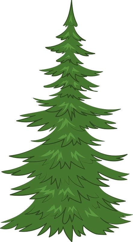 Clipart Spruce Trees