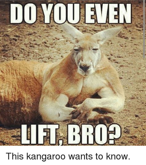 Do You Even Lift Brop This Kangaroo Wants To Know Kangaroo Meme On Sizzle