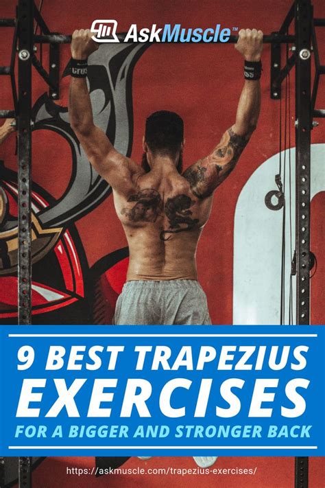 9 Best Trapezius Exercises For A Bigger And Stronger Back Ask Muscle