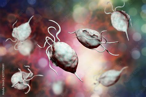 Trichomonas Vaginalis Protozoa 3D Illustration A Parasite Causing