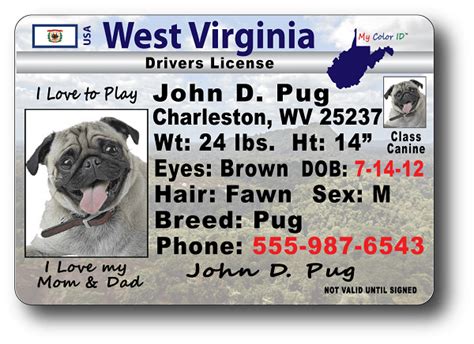 Check spelling or type a new query. West Virginia Driver License - Security Guards Companies