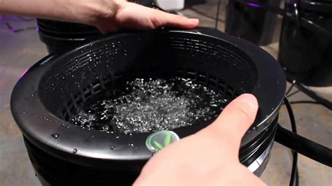 Hydroponics Bubble Flow Bucket System Youtube