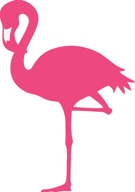 Clear Background Flamingo Transparent Clipart Full Size Clipart