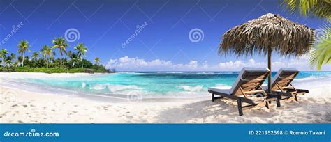 Chairs In Tropical Beach With Palm Trees Stock Photo Image Of Water