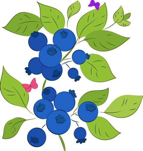 Blueberry Clip Art Free Kopler Mambu