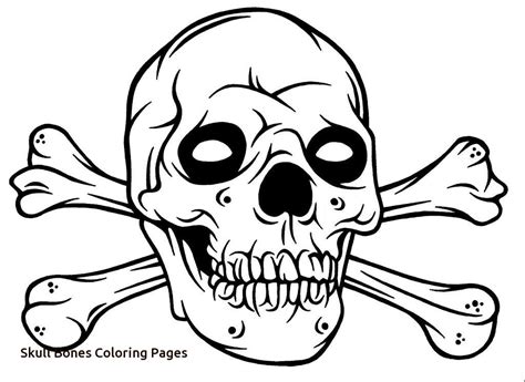 Skull And Bones Drawing Holoserrec