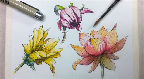 Vintage rose flowers buds and leaves seamless vector. Ink Drawing Flowers at GetDrawings | Free download
