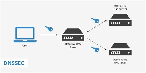 Quick Guide To Dnssec Keycdn Support