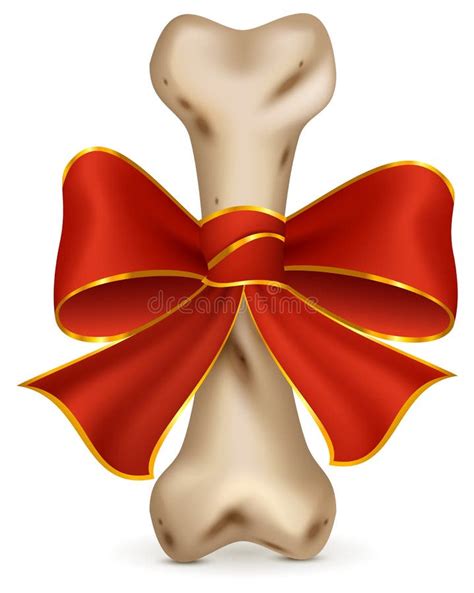 Bone For Dog Canine Snack T With Red Ribbon Bow Stock Vector