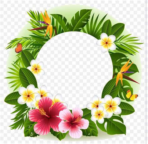 Tropical Flower Decorative Borders Png 800x800px Picture Frames