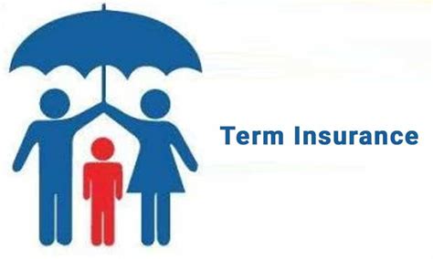 What Importance Does Term Insurance Holds In Our Lives And Everything