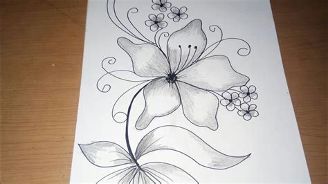 35 Sketsa Bunga Anggrek Bulan