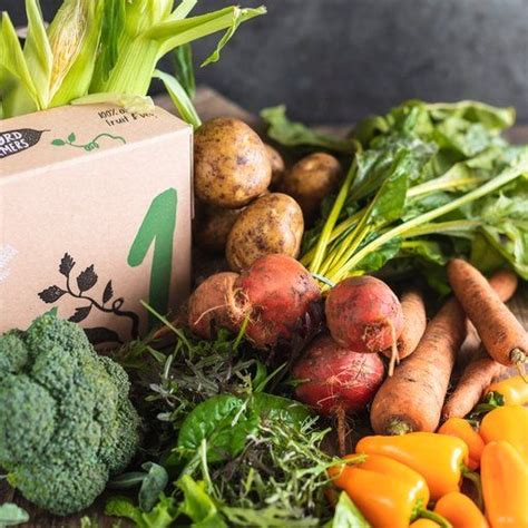 Veg Meat And Fruit Boxes Organic Food Box Delivery Riverford Fruit