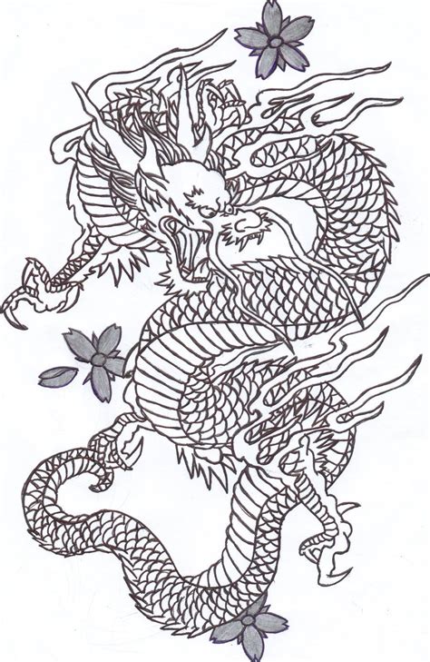 Chinese Dragon Tattoo Sketch