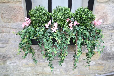 Artificial Topiary Buxus Balls With Cyclamens And Ivies Window Box