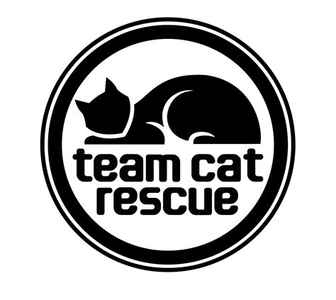 Pets For Adoption At Team Cat Rescue In Toronto On Petfinder