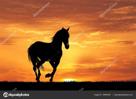 Gün batımında dört nala koşan at — Stok Foto © adrenalina ... Pferde bilder beim sonnenuntergang am meer.