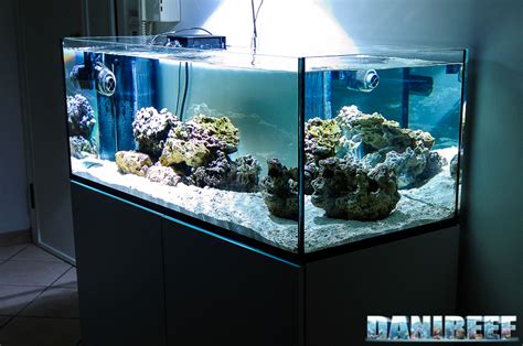 Gli acquari askoll sono contenitori di emozione, complementi d'arredo vivi che portano un tocco di meraviglia nella vita di tutti i giorni. Acquario 500 litri prezzo - Termosifoni in ghisa scheda ...