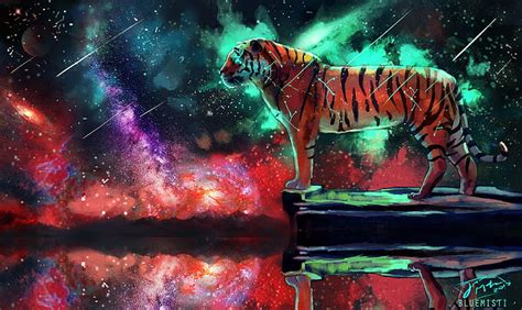 Hd Wallpaper Tiger 4k Pictures For Computer Multi Colored Animal