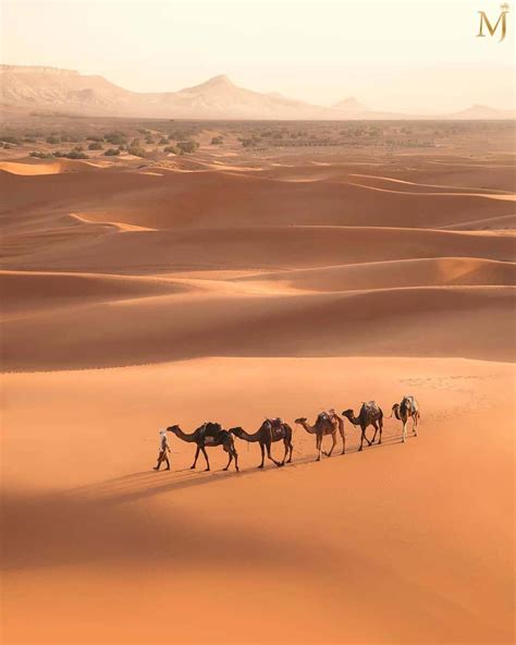 Sahara Desert Tours From Marrakech 3 Days