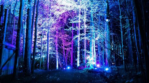 Theres A New Trippy Illuminated Forest In Michigan And We Want To Go