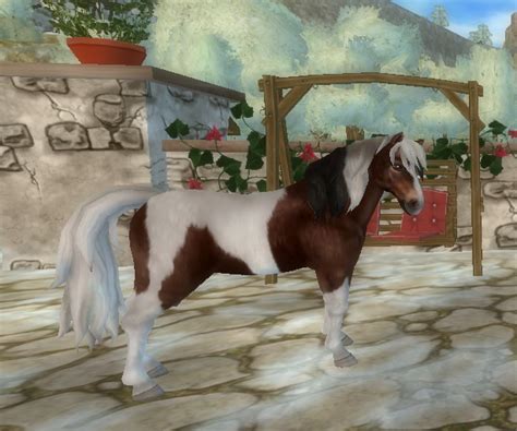 Check spelling or type a new query. Islandpferd | Star Stable Wiki | Fandom powered by Wikia