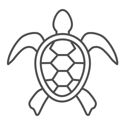 Background Of A Turtle Outline Illustrations Royalty Free Vector