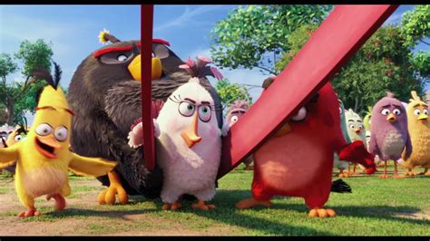the angry birds movie were gonna fly clip now available on digital download youtube