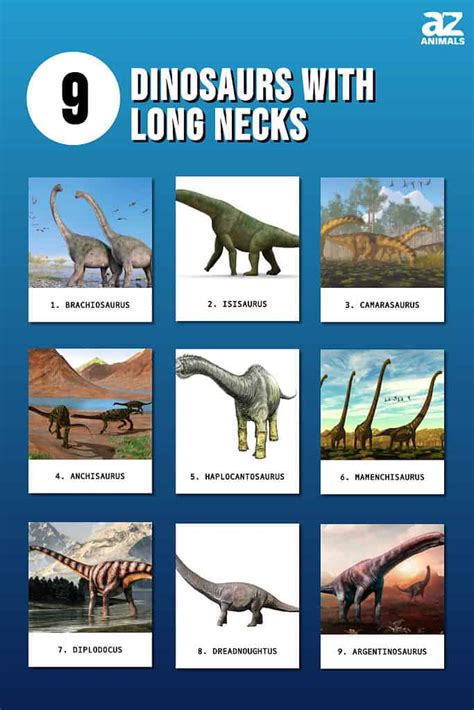9 Dinosaurs With Long Necks A Z Animals