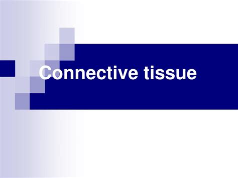 Ppt Connective Tissue Powerpoint Presentation Free Download Id5704293