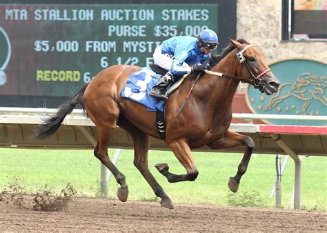 ☝ hoy en full deporte por depor: Meme Creator - racehorse Meme Generator at MemeCreator.org!