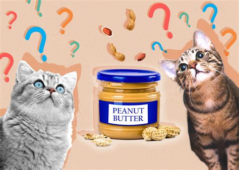 Can Cats Eat Peanut Butter Vet Reviewed Facts And Faq Excited Cats