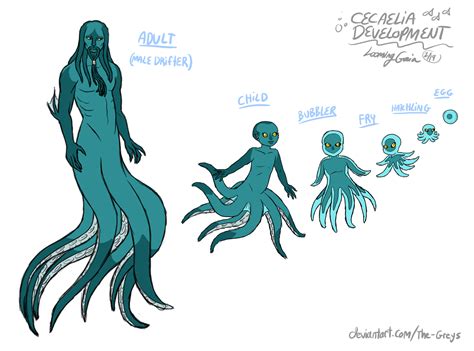 Cecaelia Development By The Greys On DeviantArt Mythical Creatures Art Monster Concept Art