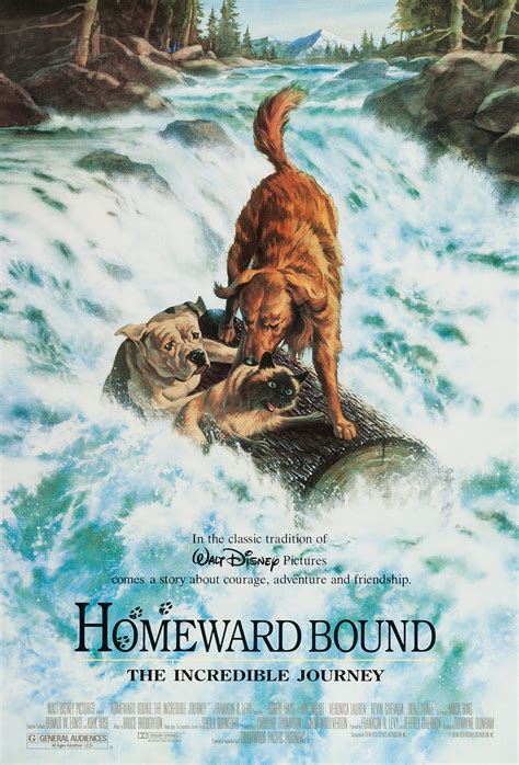 Homeward Bound The Incredible Journey Extra Large Movie Poster Image Imp Awards