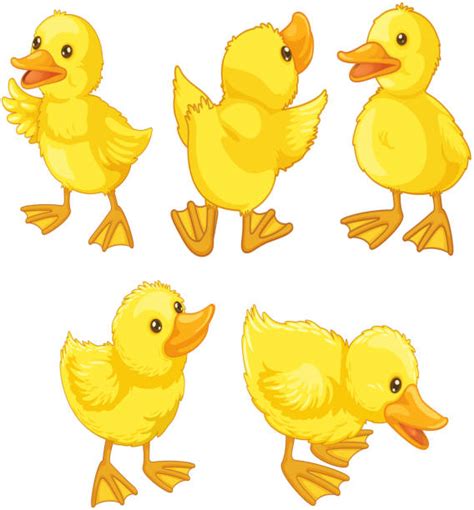 Duck Foot Illustrations Royalty Free Vector Graphics And Clip Art Istock