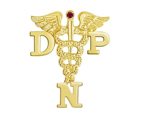 14k Gold Dnp Doctor Nursing Practice Pin Nursing Pins Glass Brooch