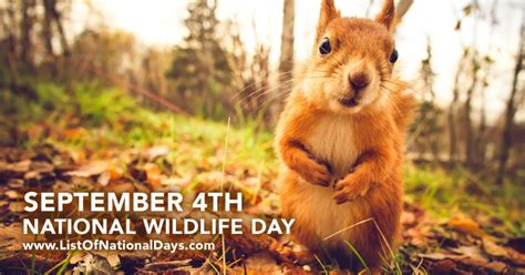 National Wildlife Day List Of National Days